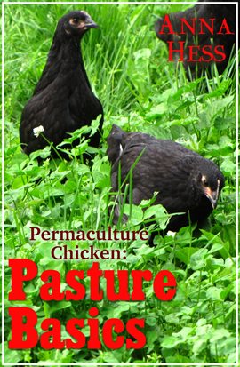 Cover image for Pasture Basics
