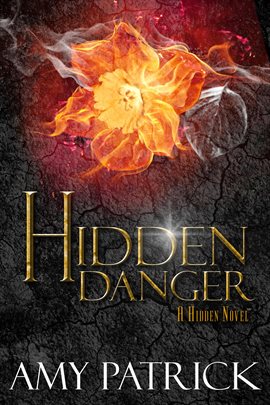 Cover image for Hidden Danger