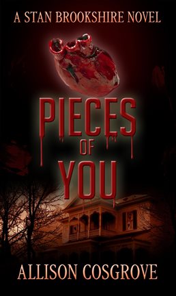 Cover image for Pieces of You