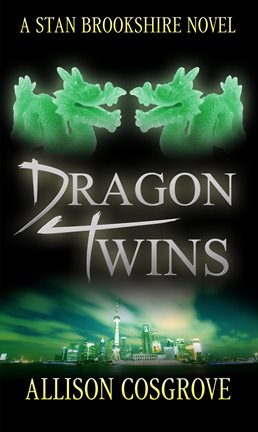 Cover image for Dragon Twins