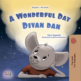 Cover image for A Wonderful Day Divan dan
