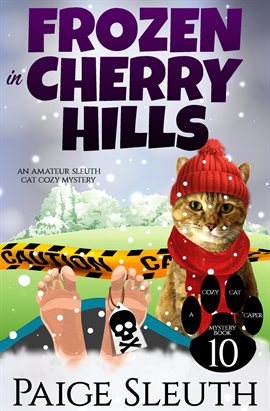 Cover image for Frozen in Cherry Hills