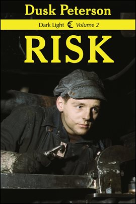 Cover image for Risk