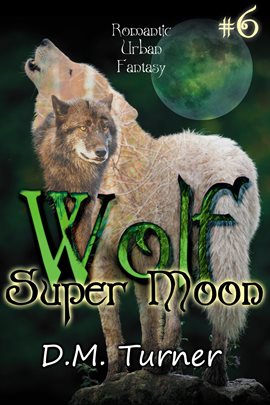 Cover image for Super Moon