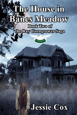 Cover image for The House in Banes Meadow