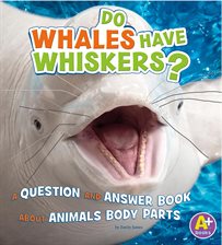 Cover image for Do Whales Have Whiskers?