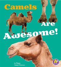 Umschlagbild für Camels Are Awesome!