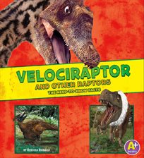 Cover image for Velociraptor and Other Raptors