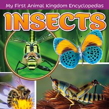 Cover image for Insects