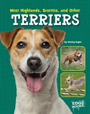 Cover image for West Highlands, Scotties, and Other Terriers