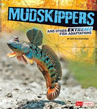 Cover image for Mudskippers and Other Extreme Fish Adaptations