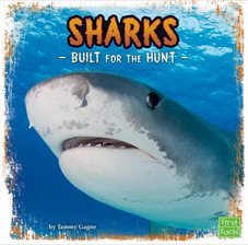 Cover image for Sharks