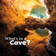 Cover image for What's in a Cave?