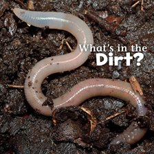 Cover image for What's in the Dirt?