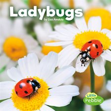 Umschlagbild für Ladybugs