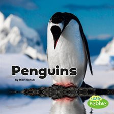 Cover image for Penguins