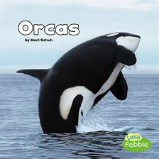 Cover image for Orcas