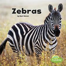 Cover image for Zebras