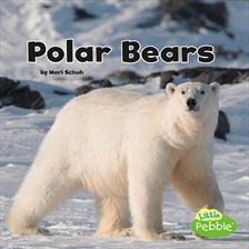 Cover image for Polar Bears