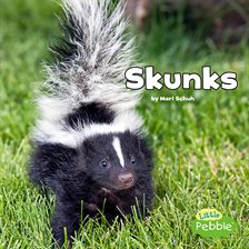 Cover image for Skunks
