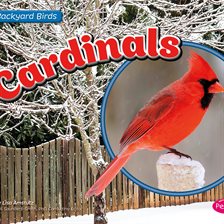 Imagen de portada para Cardinals