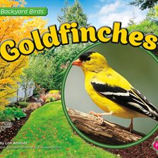 Imagen de portada para Goldfinches