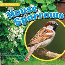 Cover image for House Sparrows