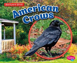 Imagen de portada para American Crows