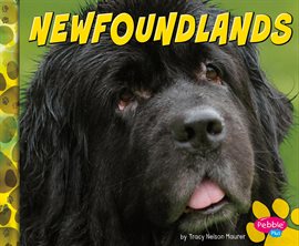 Image de couverture de Newfoundlands