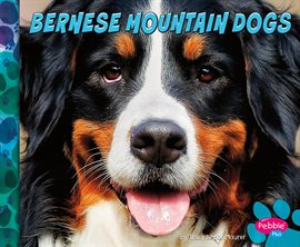 Imagen de portada para Bernese Mountain Dogs