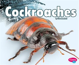 Imagen de portada para Cockroaches
