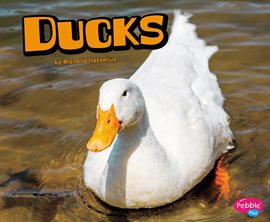 Cover image for Ducks