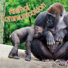Cover image for Animal Communication