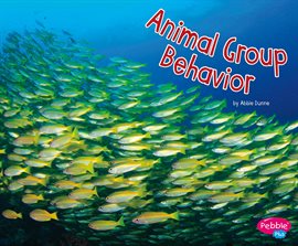 Cover image for Animal Group Behavior