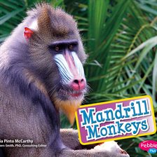 Cover image for Mandrill Monkeys