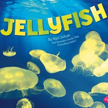 Cover image for Jellyfish