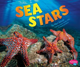 Cover image for Sea Stars