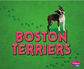 Umschlagbild für Boston Terriers