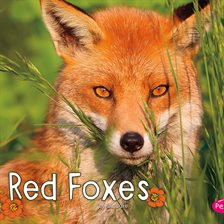 Imagen de portada para Red Foxes