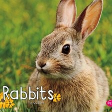 Cover image for Rabbits
