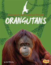 Cover image for Orangutans