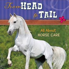 Cover image for From Head to Tail
