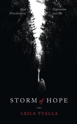 Cover image for Storm of Hope