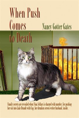 Cover image for When Push Comes to Death