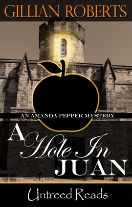 Cover image for A Hole in Juan