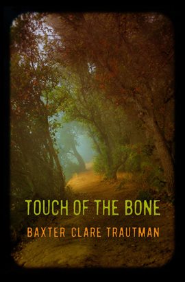 Cover image for Touch of the Bone