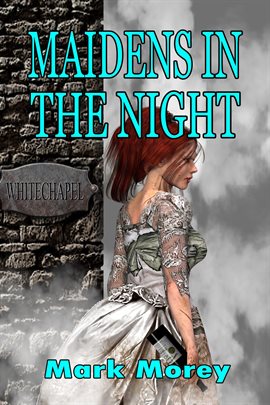 Cover image for Maidens in the Night