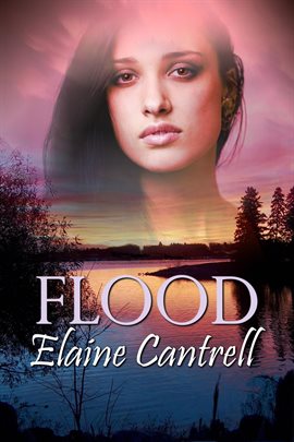 Imagen de portada para Flood