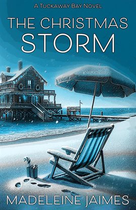 Cover image for The Christmas Storm