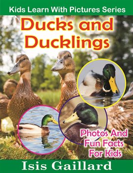 Cover image for Ducks and Ducklings Photos and Fun Facts for Kids